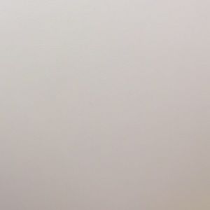 Meet your Posher, Reagan